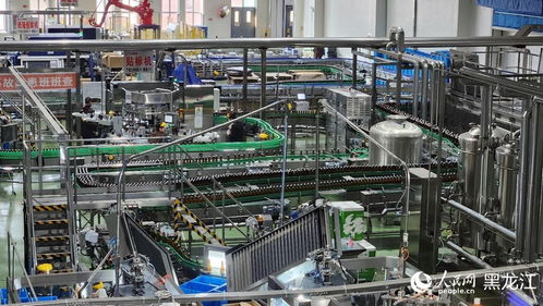 民營企業進邊疆，共尋龍江熱土發展機遇——生物技術研發的藍海與擔當